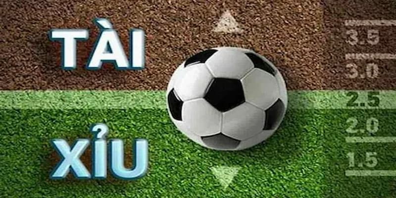 Một số thuật ngữ trong bóng đá mà game thủ cần nắm Một số thuật ngữ trong bóng đá mà game thủ cần nắm